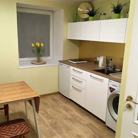 Excelent Apartment With Garden And Free Parking Riga Exteriör bild