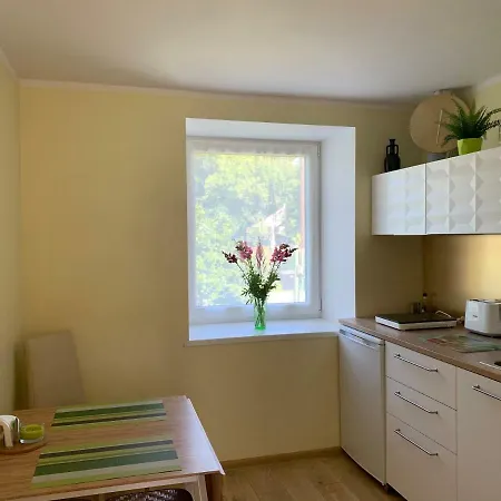 Excelent Apartment With Garden And Free Parking Riga Exteriör bild