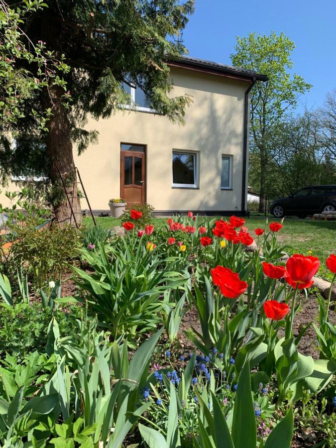Апартаменты Excelent With Garden And Free Parking Рига